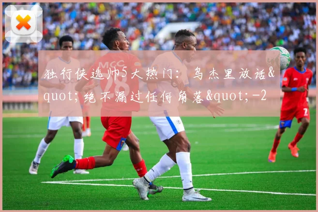 独行侠选帅5大热门:乌杰里放话"绝不漏过任何角落"