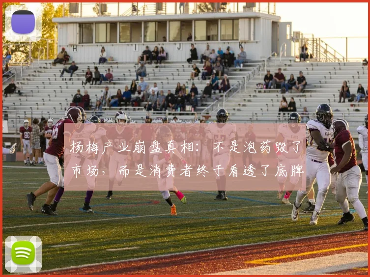 杨梅产业崩盘真相：不是泡药毁了市场，而是消费者终于看透了底牌