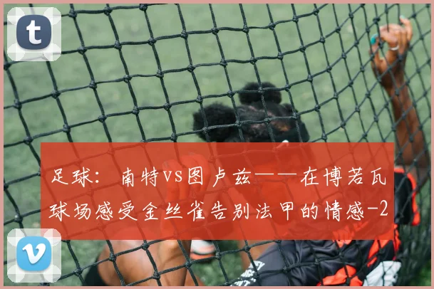 足球：南特vs图卢兹——在博若瓦球场感受金丝雀告别法甲的情感
