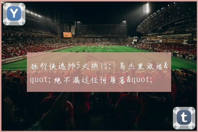 独行侠选帅5大热门：乌杰里放话"绝不漏过任何角落"